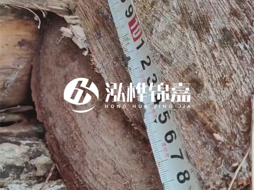 打木樁有什么好處？打樁木適用范圍有哪些要求？